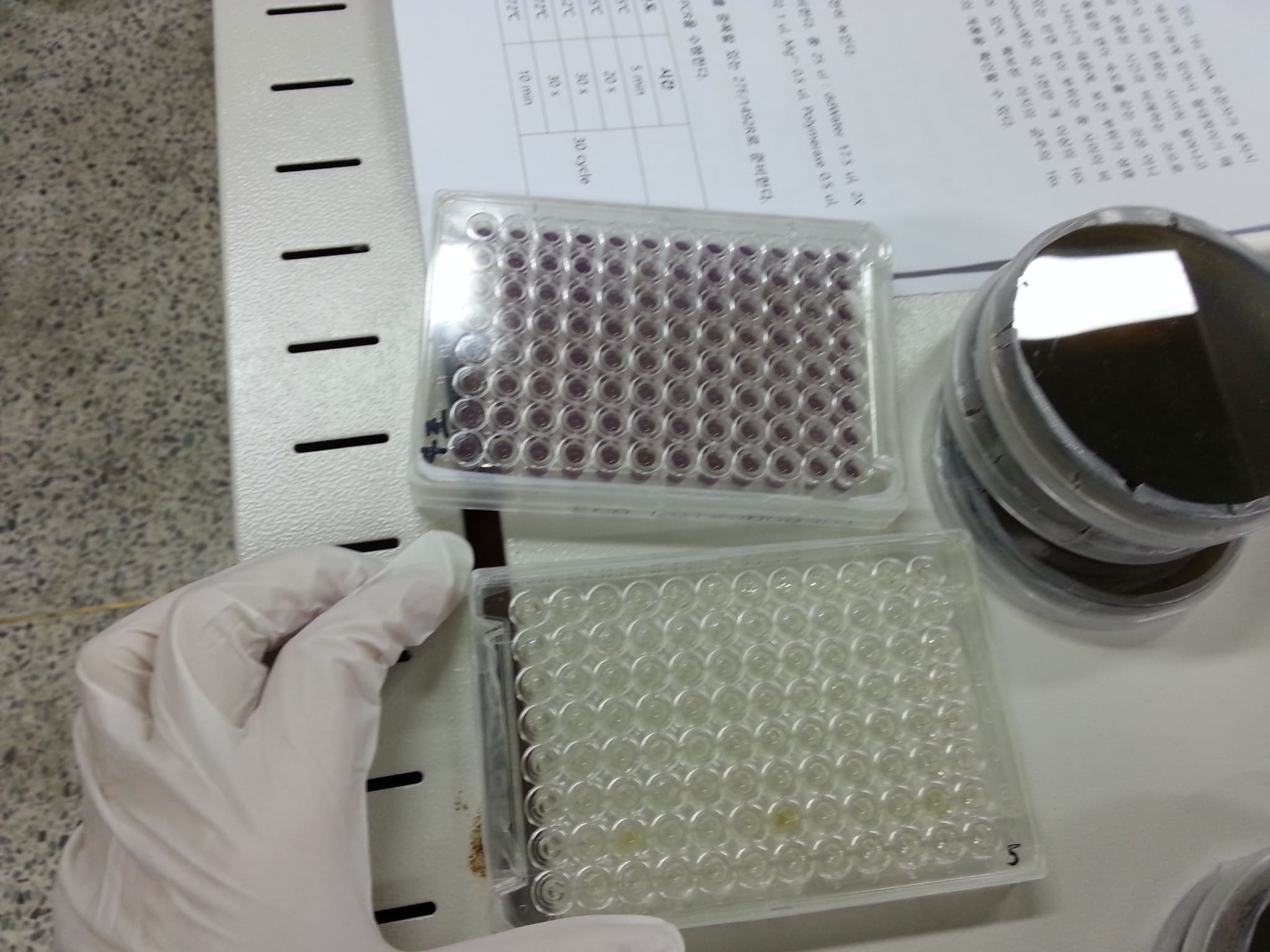 (a) Reagent preparation